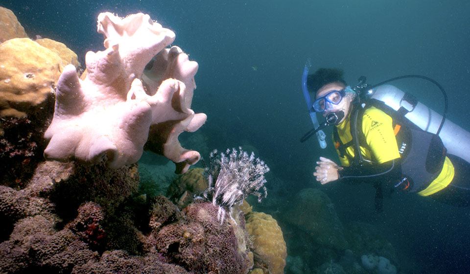 Pulau Mabul